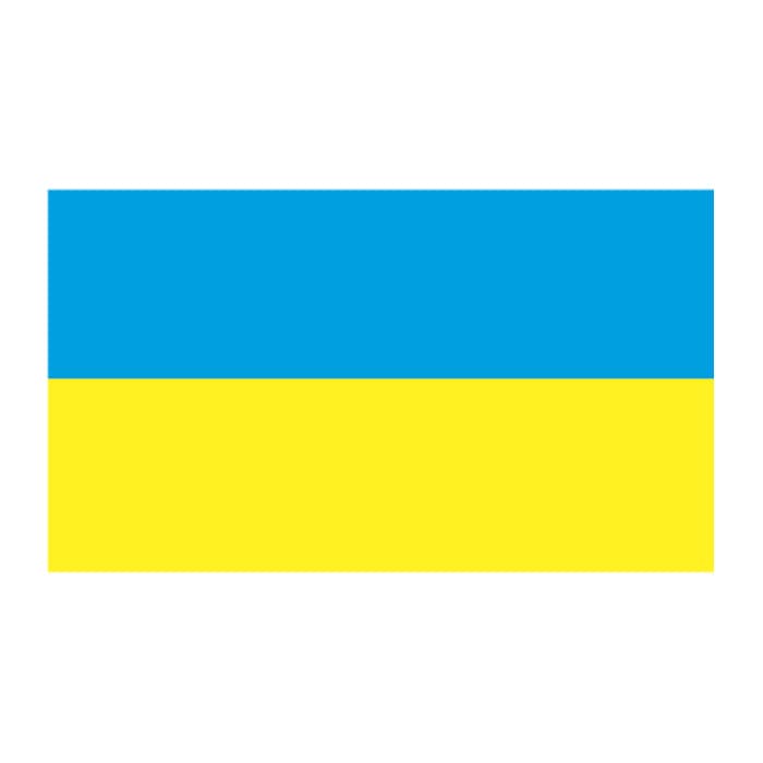 Ukraine Flag Temporary Tattoo 2 in x 1.5 in