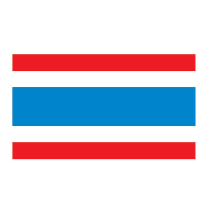 Thailand Flag Temporary Tattoo 2 in x 1.5 in