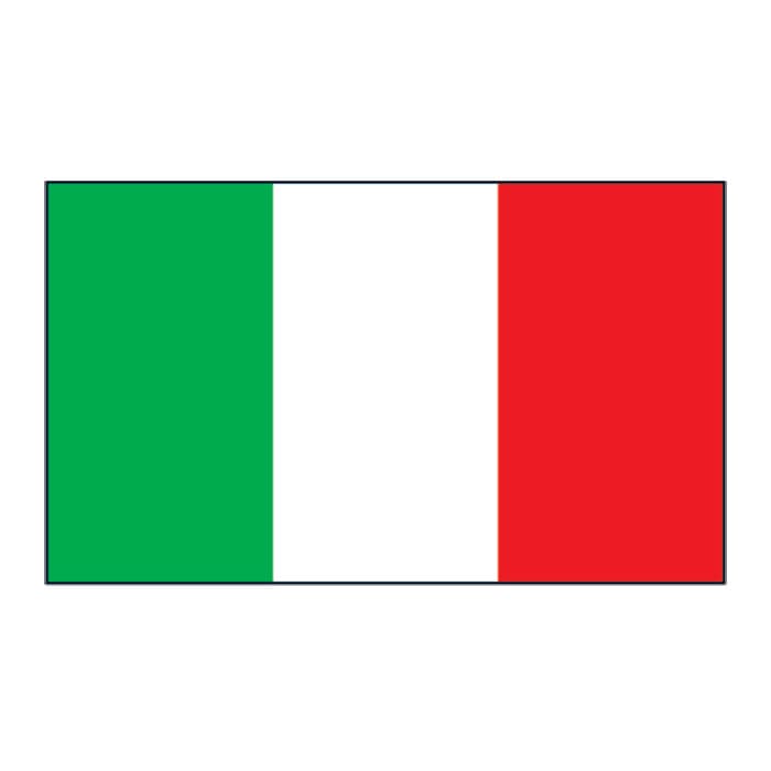 Italy Flag Temporary Tattoo 2 in x 1.5 in