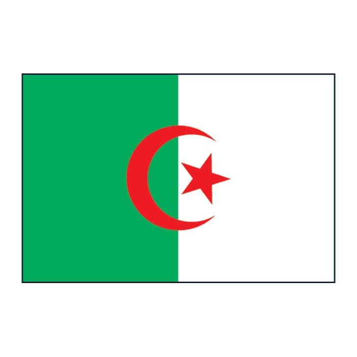 Algeria Flag Temporary Tattoo 2 in x 1.5 in
