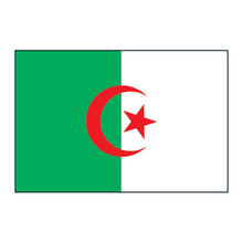 Algeria Flag Temporary Tattoo 2 in x 1.5 in