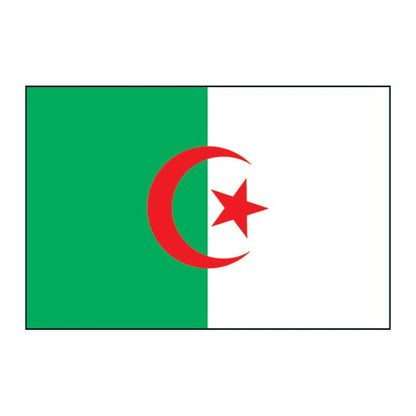 Algeria Flag Temporary Tattoo 2 in x 1.5 in
