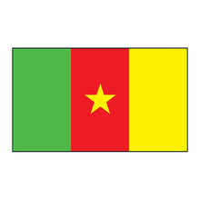Cameroon Flag Temporary Tattoo 2 in x 1.5 in