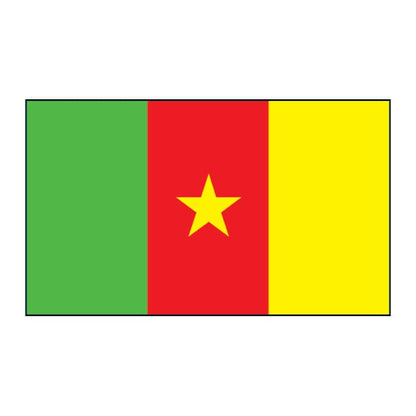 Cameroon Flag Temporary Tattoo 2 in x 1.5 in