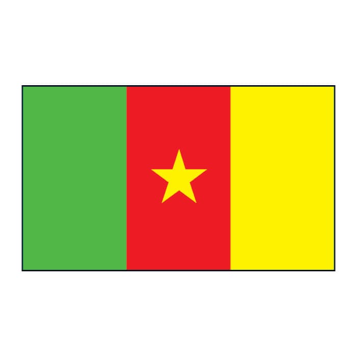Cameroon Flag Temporary Tattoo 2 in x 1.5 in