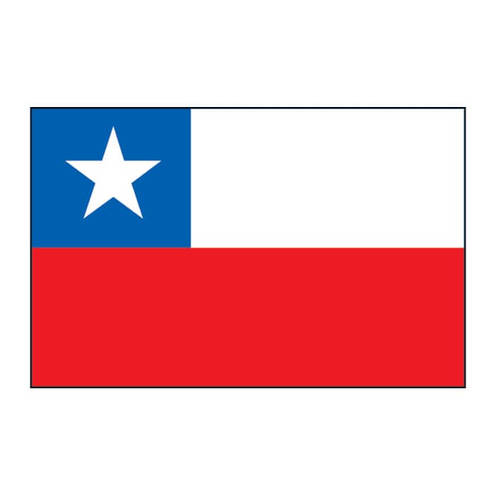 Chile Flag Temporary Tattoo 2 in x 1.5 in
