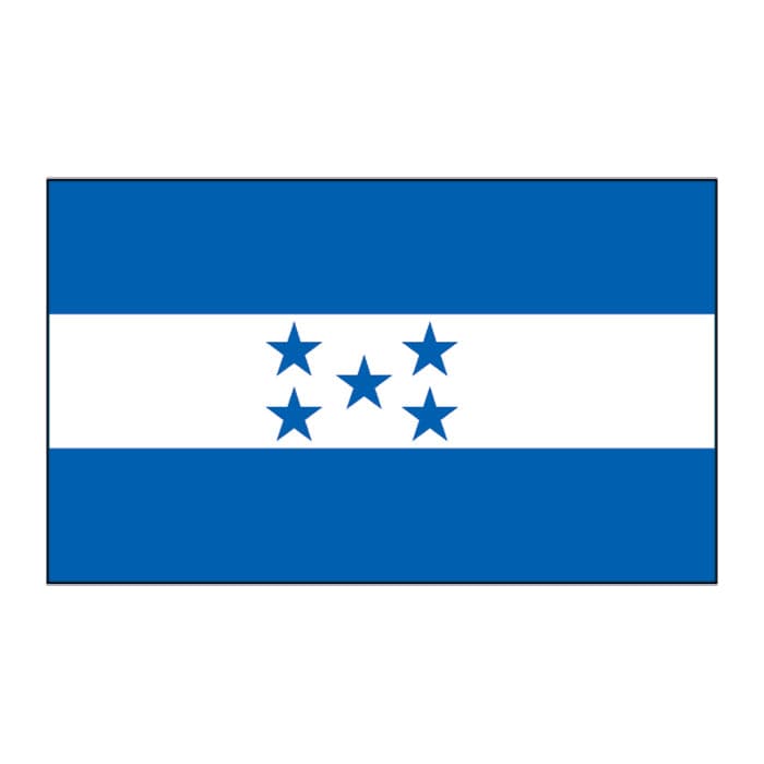Honduras Flag Temporary Tattoo 2 in x 1.5 in