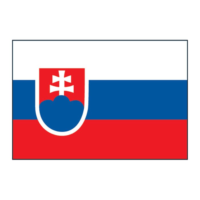 Slovakia Flag Temporary Tattoo 2 in x 1.5 in