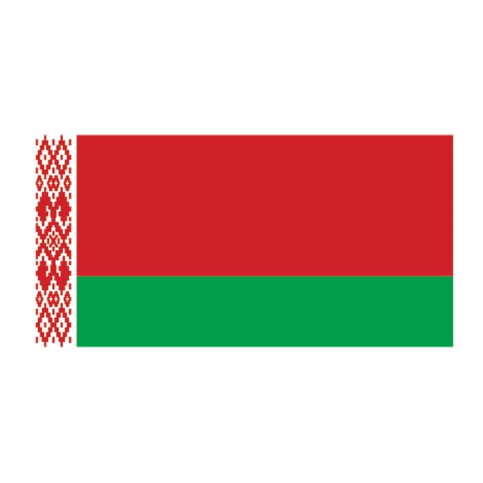 Belarus Flag Temporary Tattoo 2 in x 1.5 in