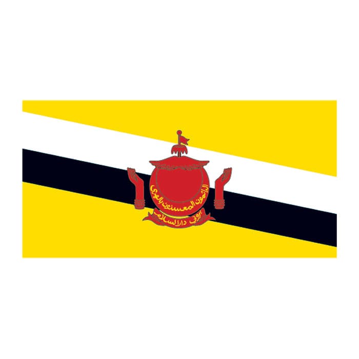 Brunei Flag Temporary Tattoos 2 in x 1.5 in