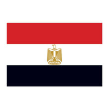 Egypt Flag Temporary Tattoo 2 in x 1.5 in