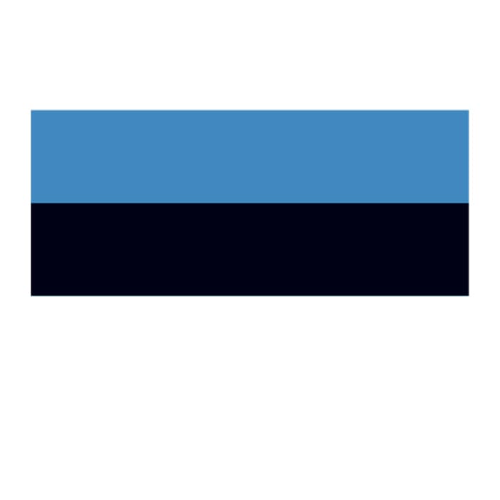 Estonia Flag Temporary Tattoo 2 in x 1.5 in