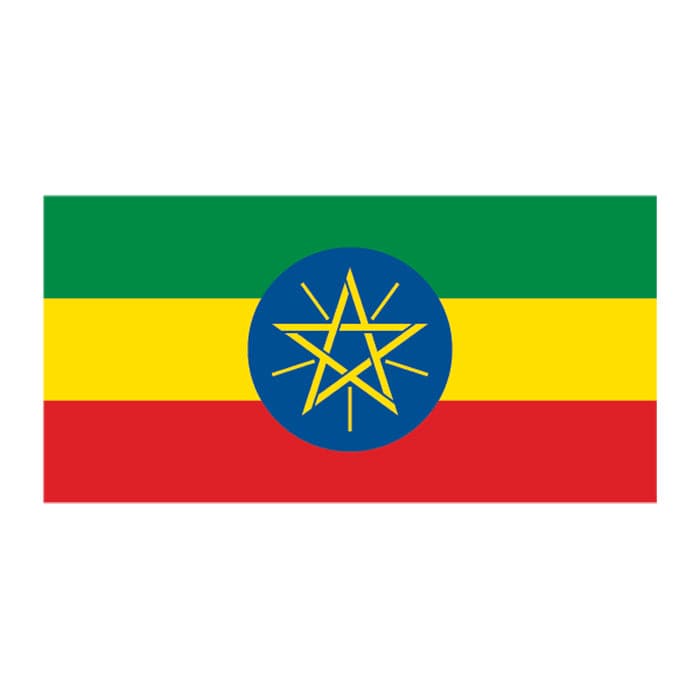 Flag of Ethiopia Temporary Tattoo 2 in x 1.5 in