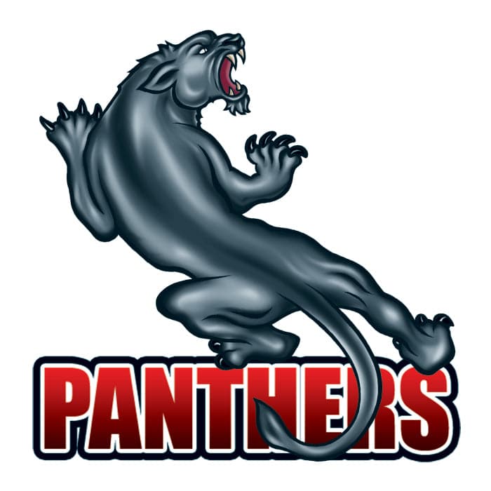 Panthers Team Temporary Tattoo 2 in x 2 in