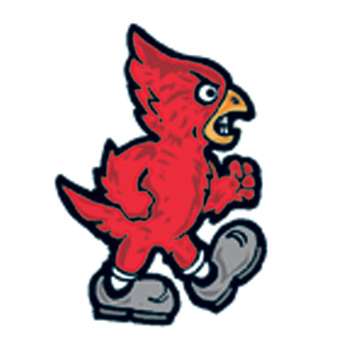 Cardinal Temporary Tattoo 2 in x 2 in