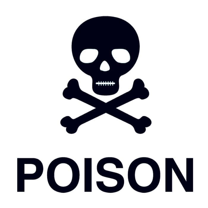 Poison Skull Temporary Tattoo 2 in x 2 in