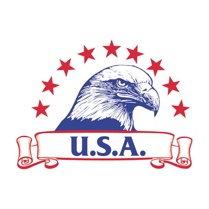 USA Eagle Temporary Tattoo 2 in x 2 in