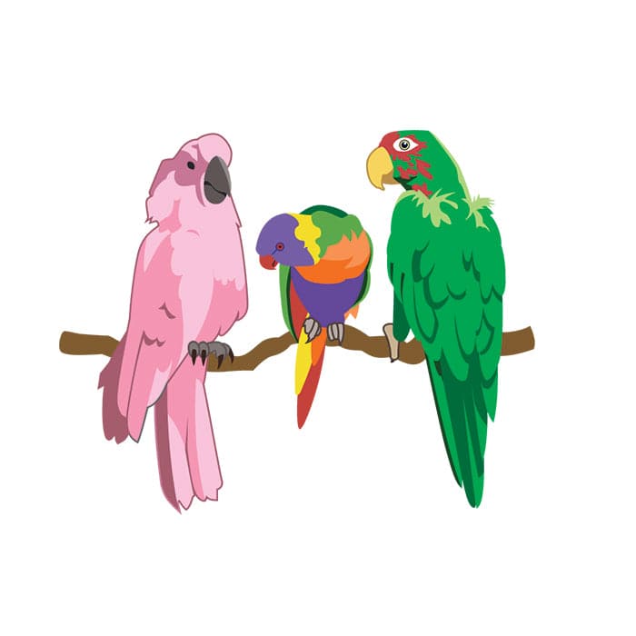 Parrots Temporary Tattoo 3.5 in x 2.5 in