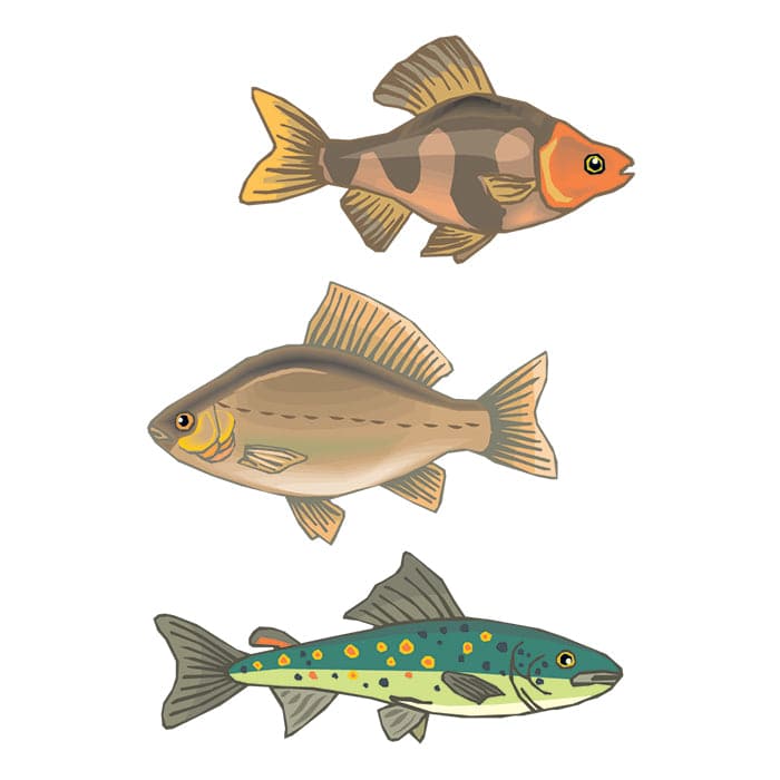 Set of 3 Fish Temporary Tattoos 3.5 in x 2.5 in