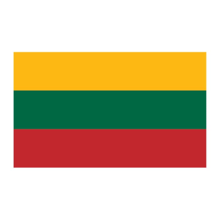 Flag of Lithuania Temporary Tattoo 2 in x 1.5 in