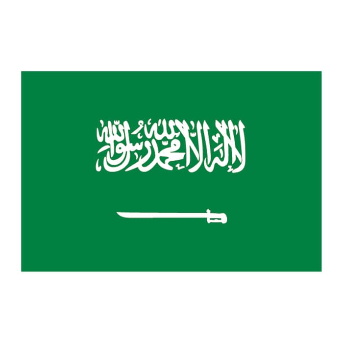 Flag of Saudi Arabia Temporary Tattoo 2 in x 1.5 in