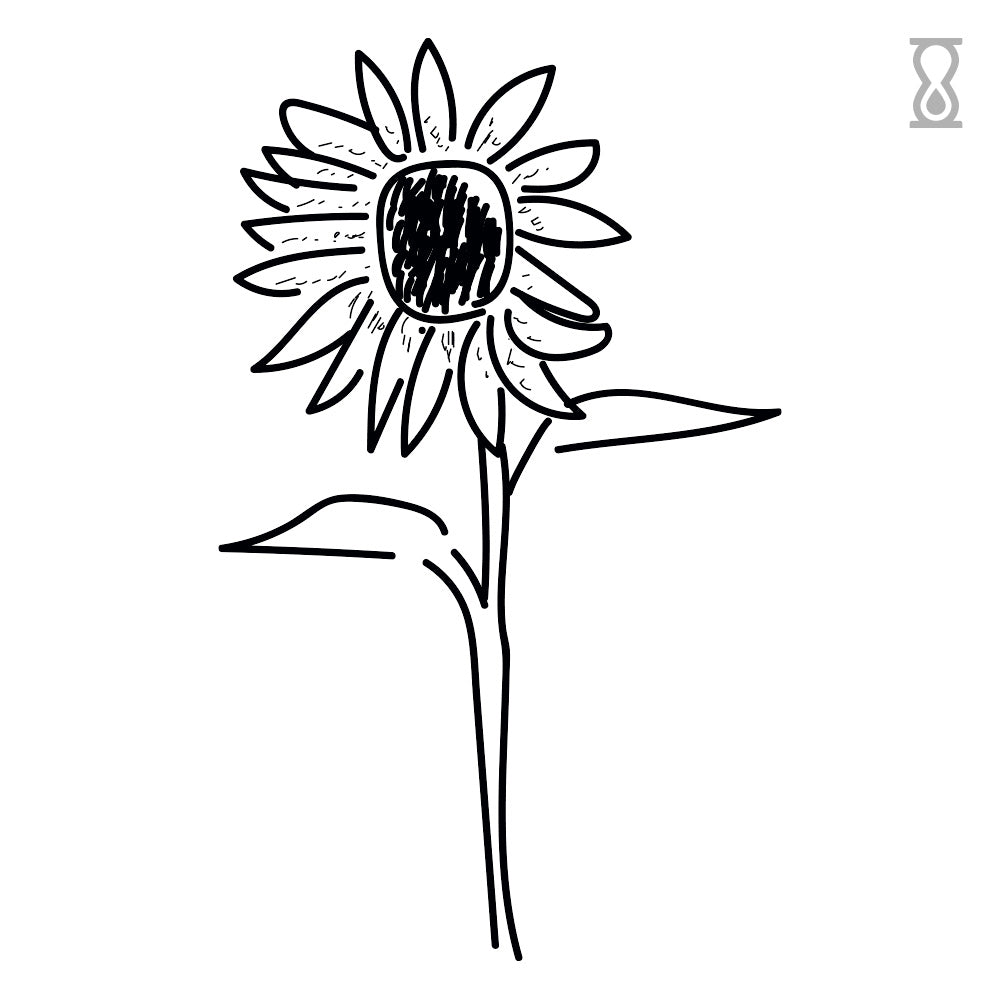 Sketch Sunflower Semi-Permanent Tattoo 1.5 in x 2 in