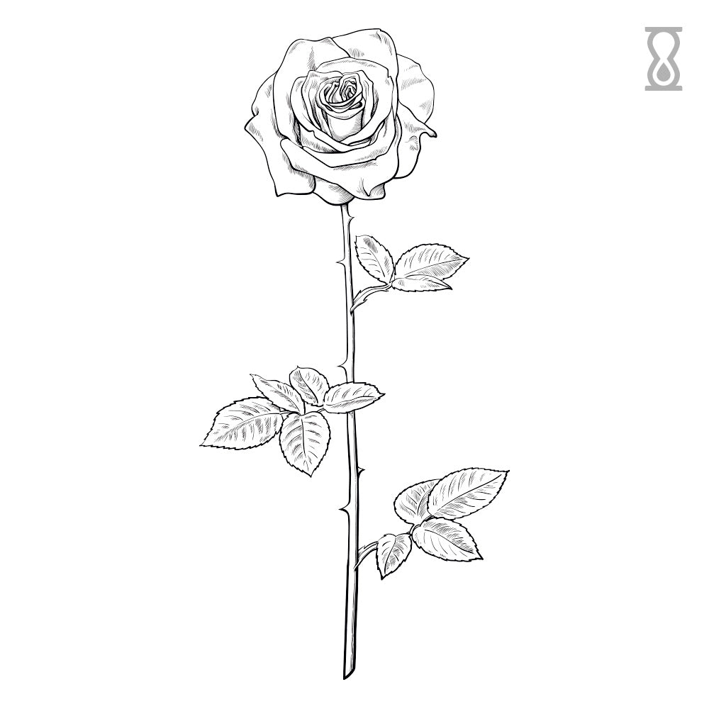 Rose Stem Semi-Permanent Tattoo 1.5 in x 3 in