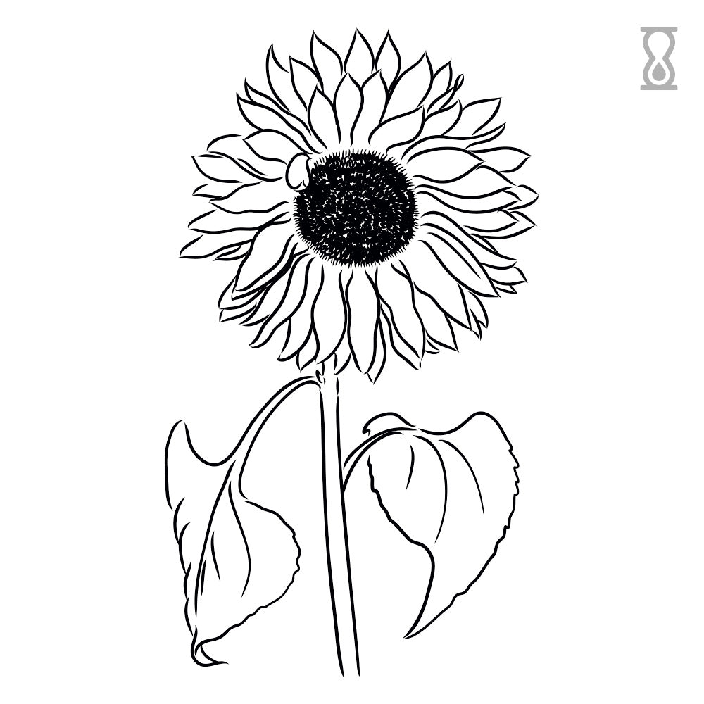 Sunflower Line Semi-Permanent Tattoo 2 in x 3 in