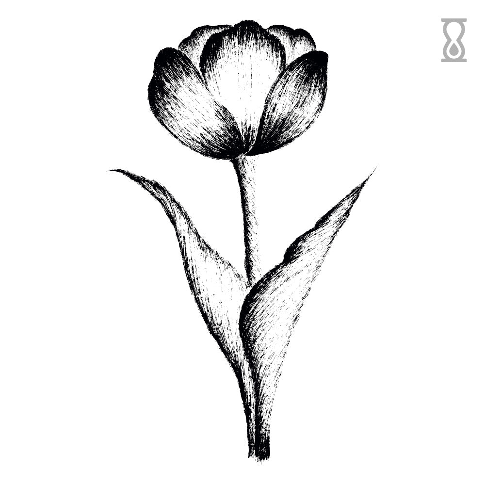 Tulip Sketch Semi-Permanent Tattoo 1.5 in x 2 in