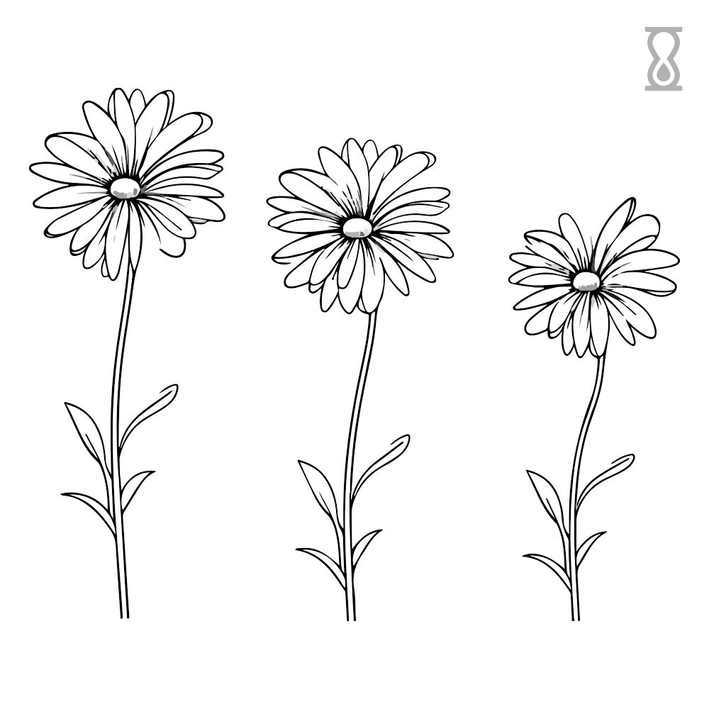 Trio Daisy Semi-Permanent Tattoo 2 in x 2 in