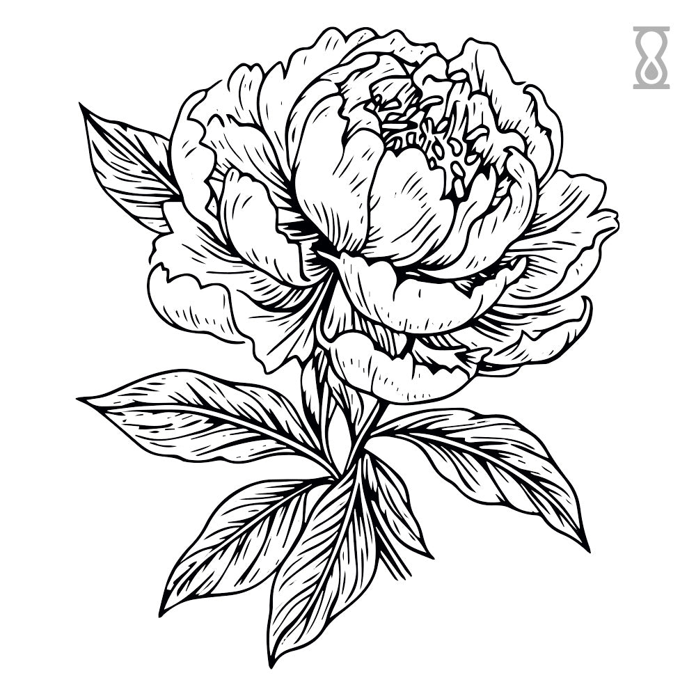 Peony Drawing Semi-Permanent Tattoo 4 in x 4 in