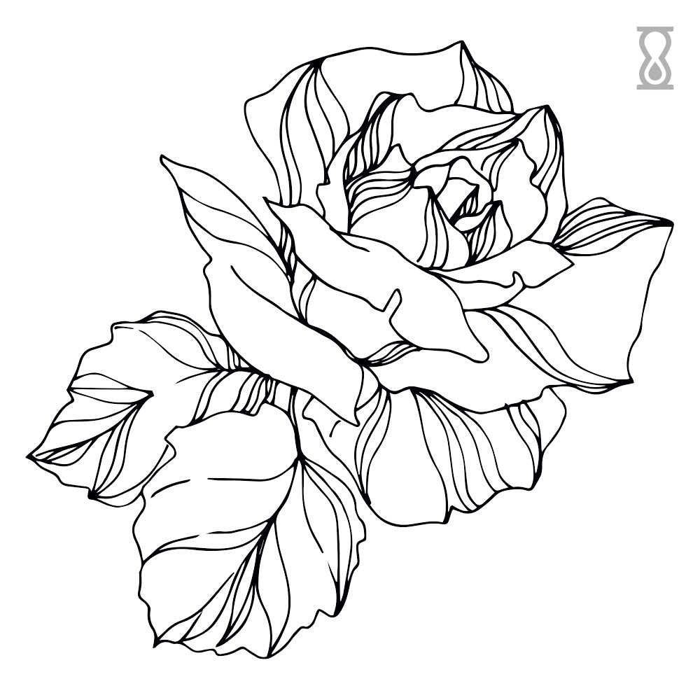 Blooming Rose Drawing Semi-Permanent Tattoo 2 in x 2 in