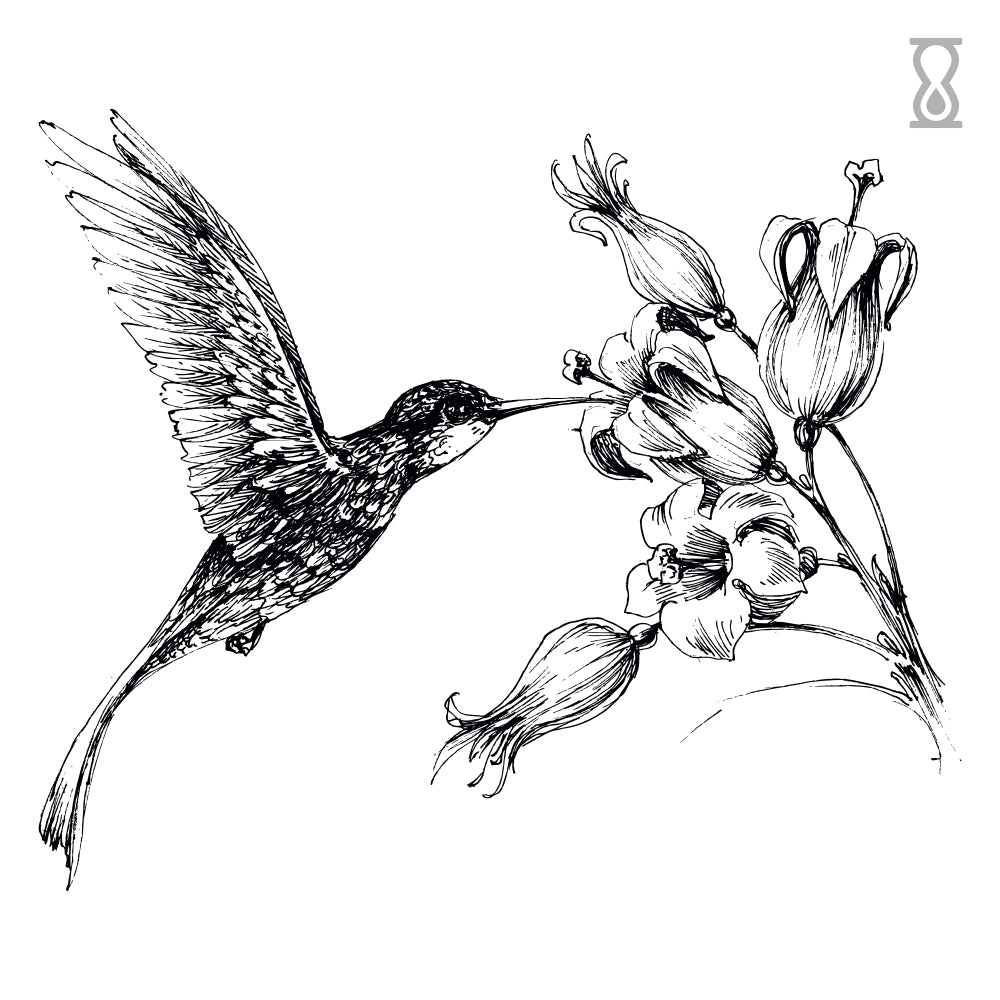 Hummingbird Flower Semi-Permanent Tattoo 4 in x 4 in