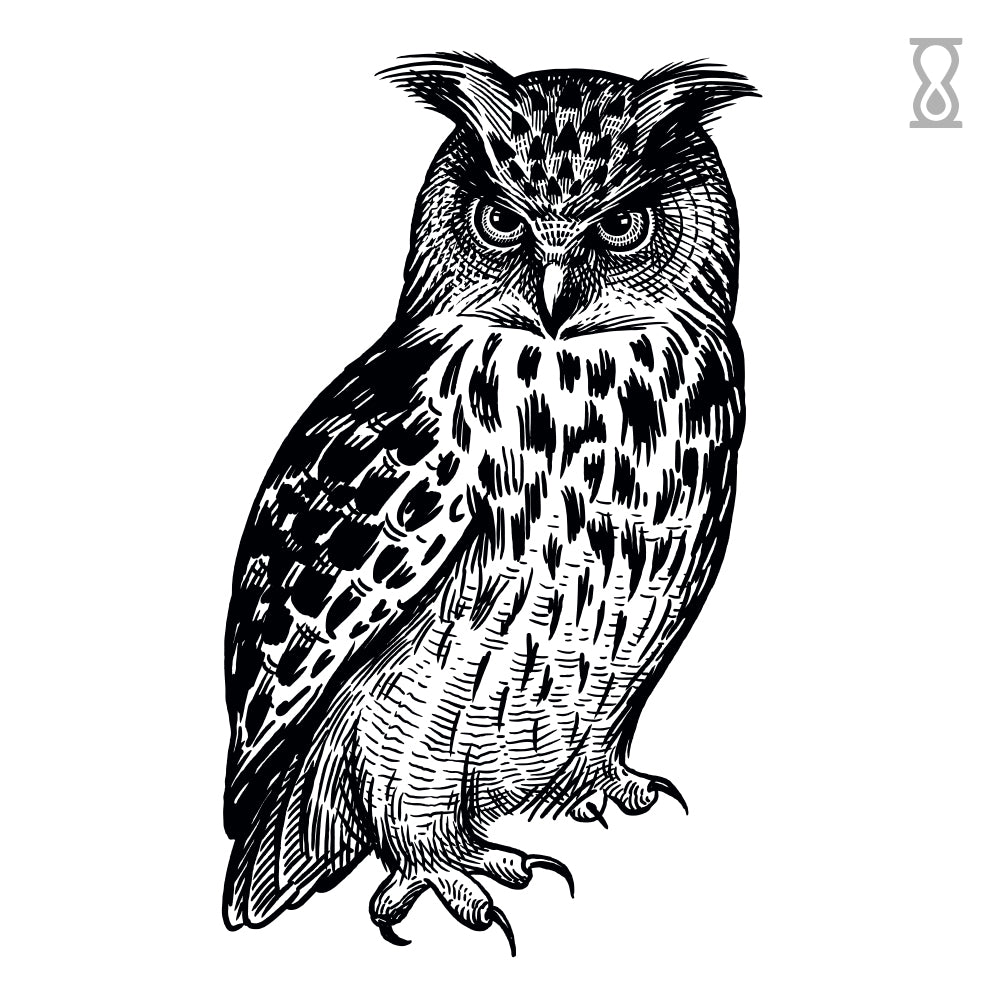 Owl Semi-Permanent Tattoo 2 in x 4 in