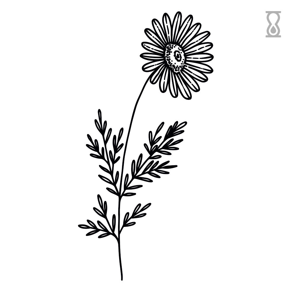 Wild Daisy Semi-Permanent Tattoo 1.5 in x 3 in