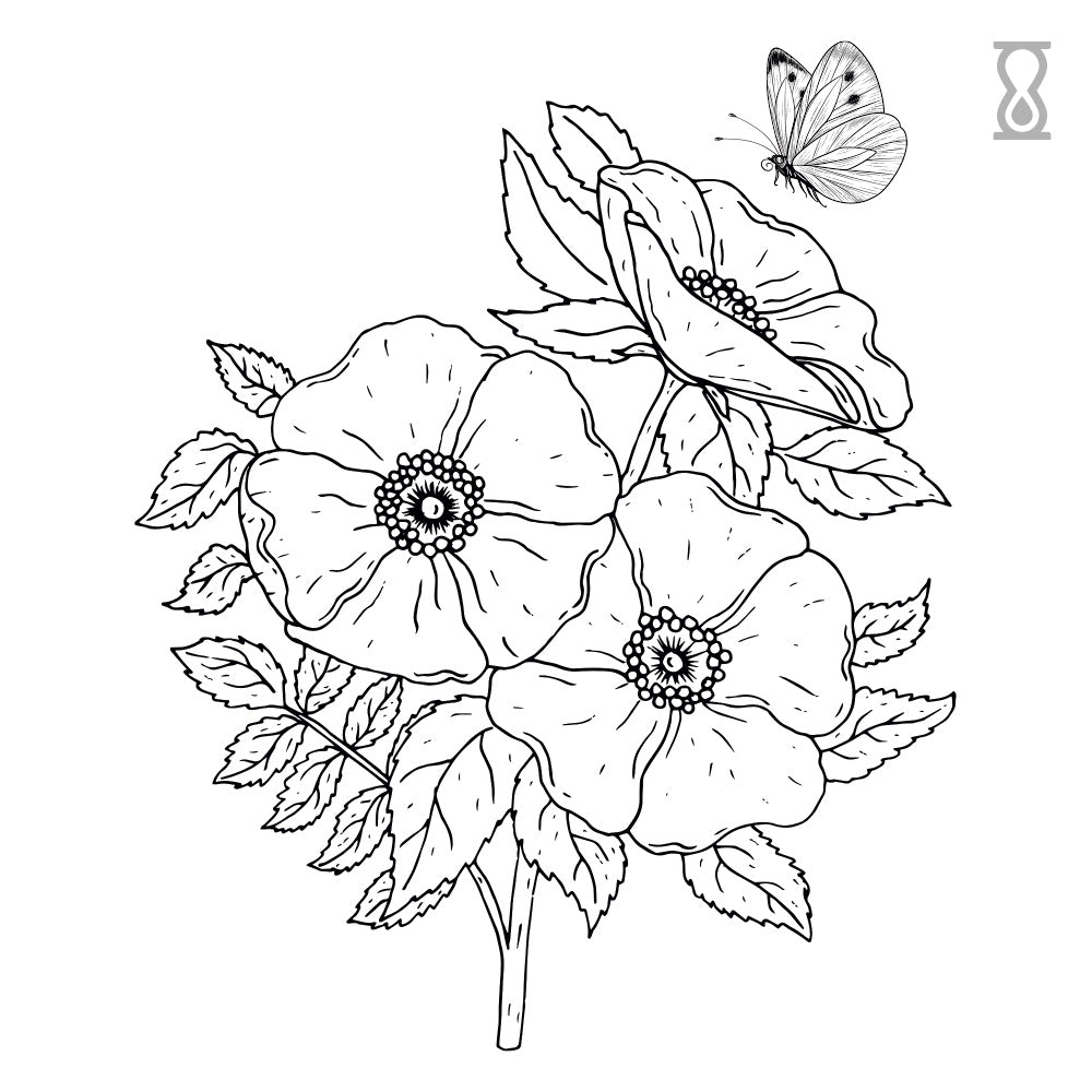 Butterfly Poppy Floral Semi-Permanent Tattoo 3 in x 3 in