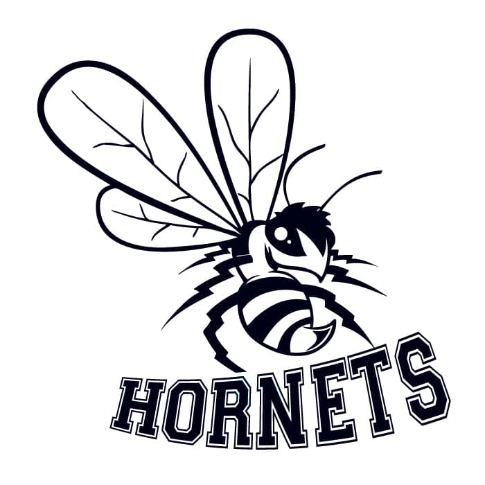 Hornets Sports Temporary Tattoo 2 in x 2 in