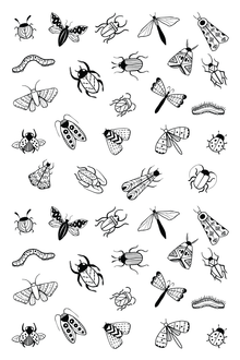 Tiny Bug Tattoos 26 in x 6 in