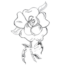 Rose Sketch Fate is Ours Temporary Tattoo 2 in x 2 in