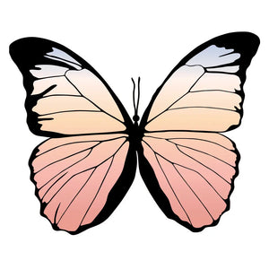 Classic - Full Color