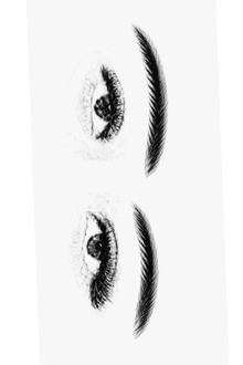 Semi-Permanent - Black Line Only