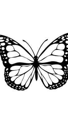 Semi-Permanent - Black Line Only