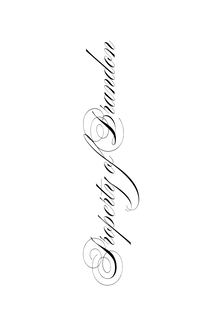 Semi-Permanent - Black Line Only