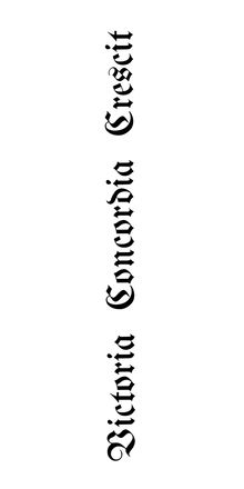 Semi-Permanent - Black Line Only