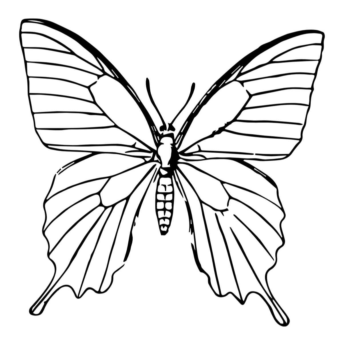 Semi-Permanent - Black Line Only