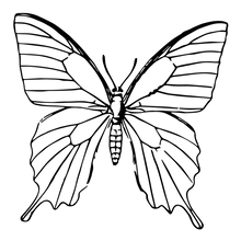 Semi-Permanent - Black Line Only