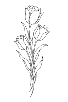 Semi-Permanent - Black Line Only