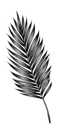 Semi-Permanent - Black Line Only