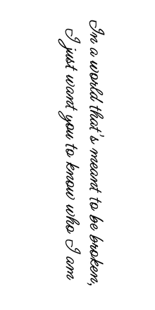 Semi-Permanent - Black Line Only