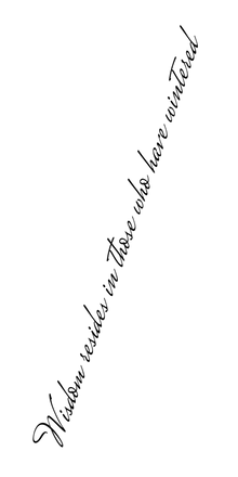 Semi-Permanent - Black Line Only